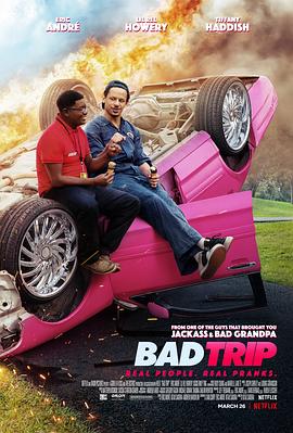 恶搞之路 Bad Trip2020