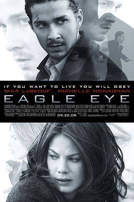 鹰眼Eagle Eye2008