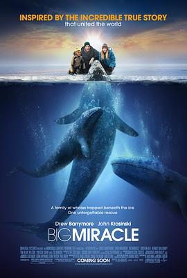 鲸奇 Big Miracle2012