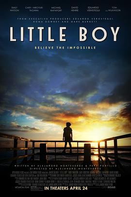 小男孩 Little Boy2015