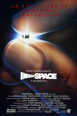 惊异大奇航Innerspace